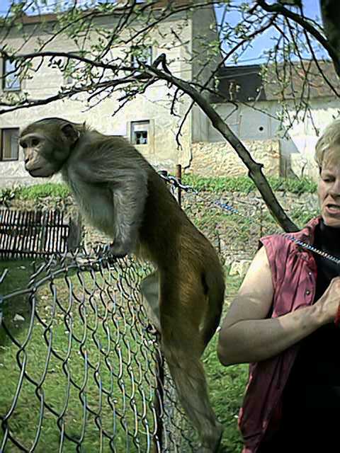 26.4.2003 9.jpg